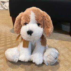 Shining stars beagle